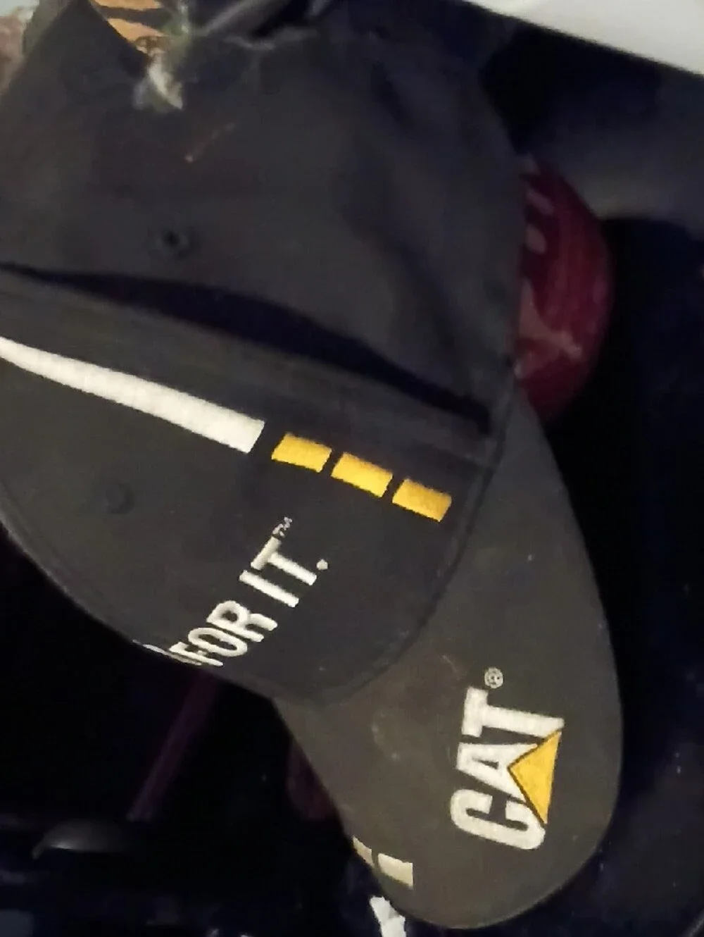 Jellycat Black and Gold 'Built For It' CAT Logo Baseball Cap